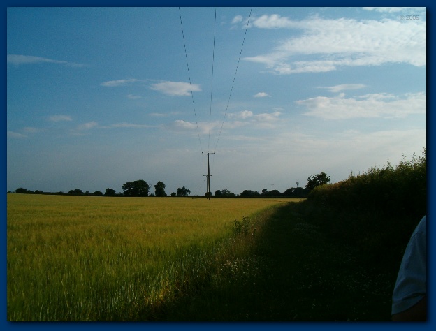 600x449 pixels (81K)